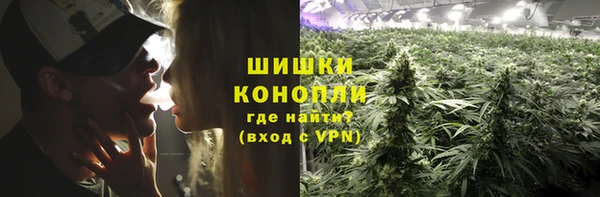 сатива Братск