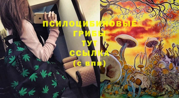 прущий лед Алзамай