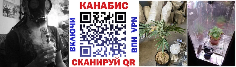 Марихуана OG Kush Емва